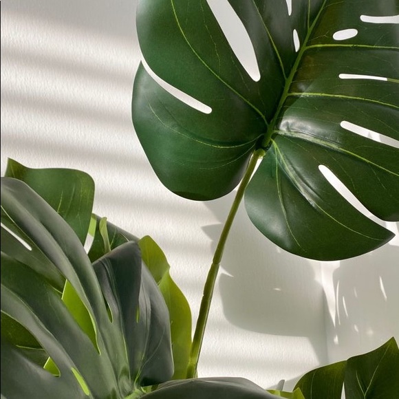 Meet your Posher, Ava - Picture 1 of 1